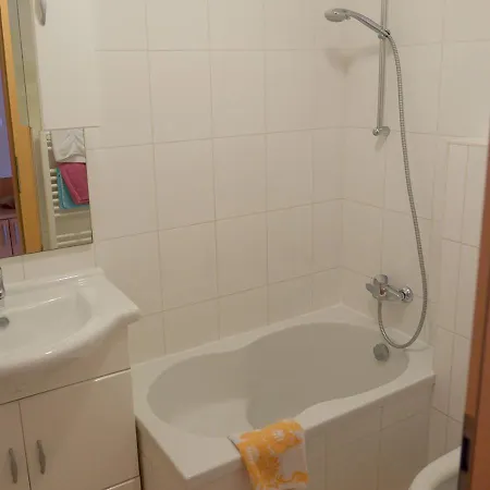 Apartmaji Slavnik *